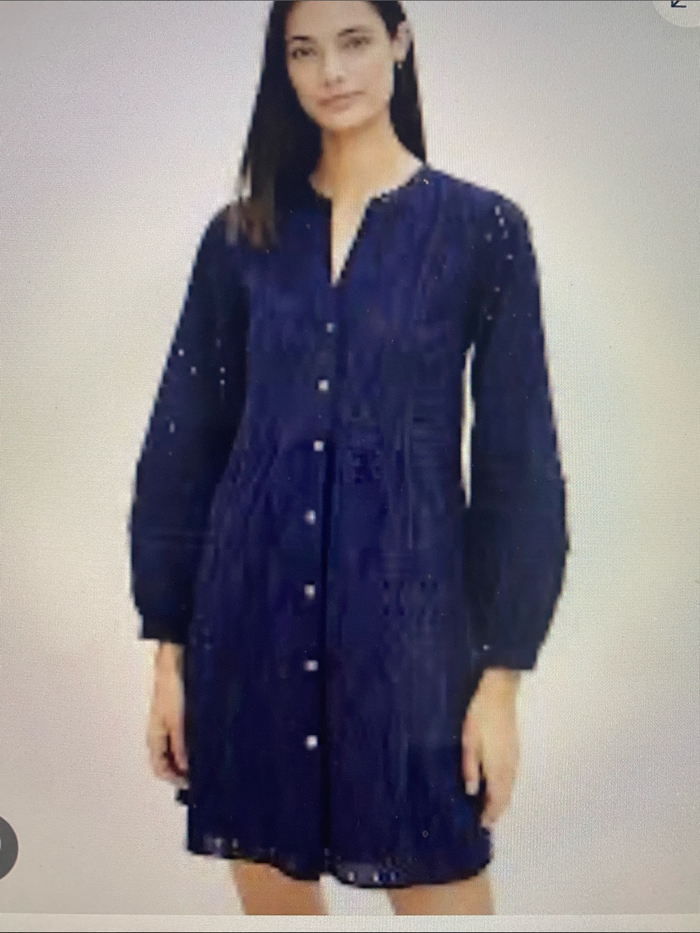 LOFT Navy Long Sleeve Eyelet Dress